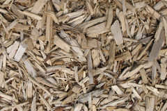 biomass boilers Cockshutt